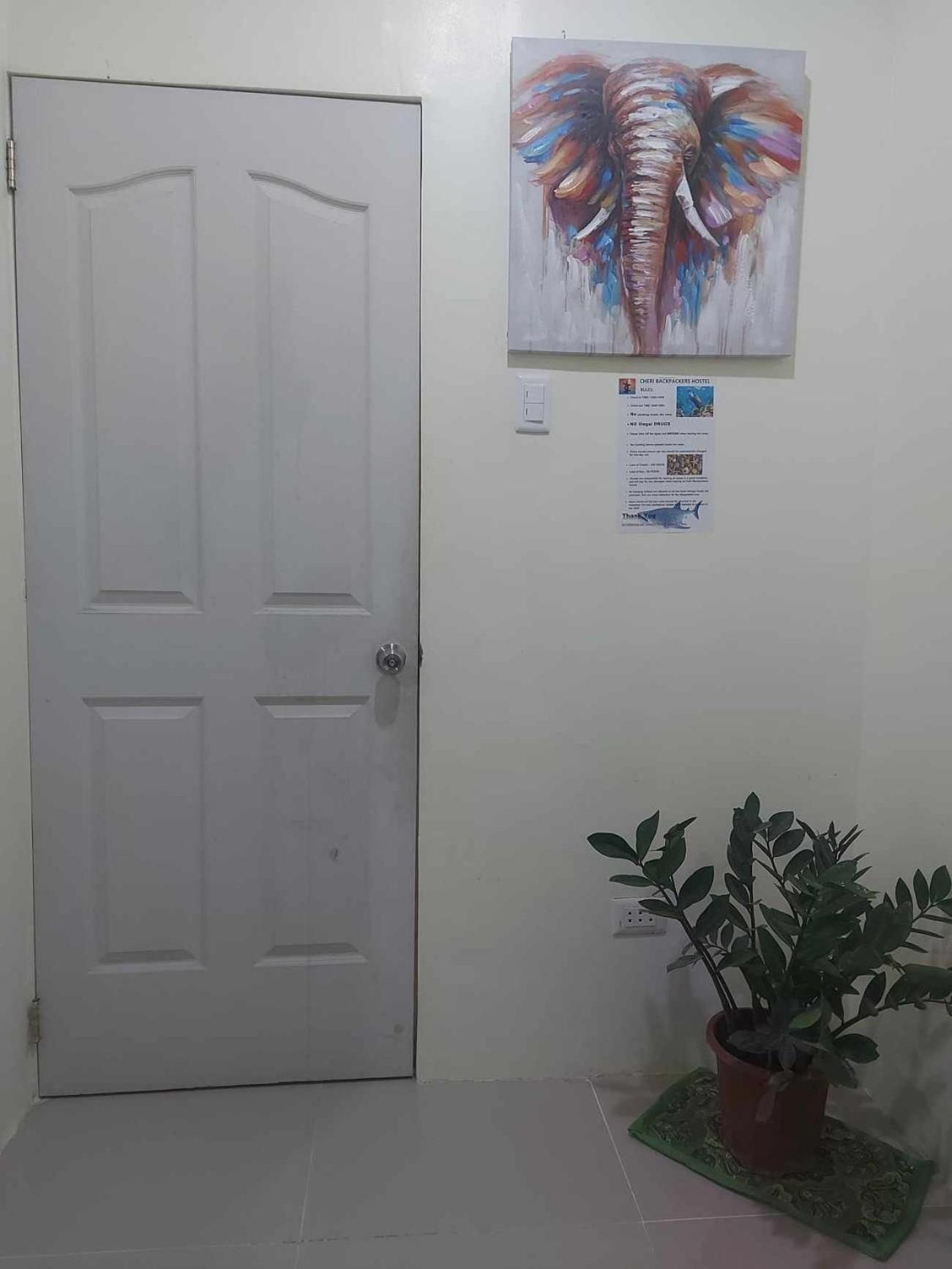 Cheri Backpackers Hostel Moalboal Luaran gambar